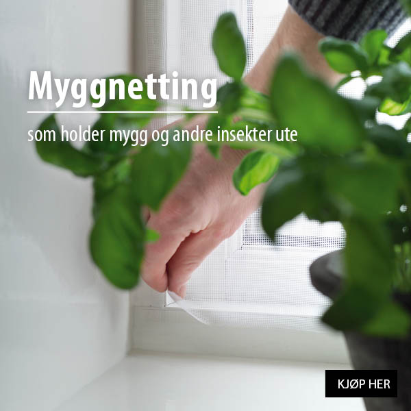 Myggnetting